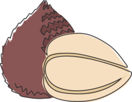 enkele doorlopende lijntekening van hele gezonde biologische salak voor de identiteit van het boomgaardlogo. vers zomers tropisch fruitconcept voor fruittuinpictogram. moderne één lijn tekenen ontwerp vectorillustratie png