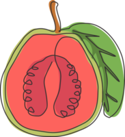 une seule ligne de dessin de goyave de java biologique saine à moitié tranchée pour l'identité du logo du verger. concept de fruits tropicaux frais pour l'icône de jardin. ligne continue moderne dessiner illustration vectorielle graphique png