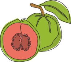 Single continuous line drawing whole and half sliced healthy organic java guava for orchard logo identity. Fresh fruit concept for garden icon. Modern one line draw graphic design vector illustration png