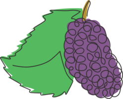 één enkele lijntekening van geheel gezond biologisch voor de identiteit van het logo van de boomgaardmoerbei. vers fruitfruitconcept voor fruittuinpictogram. moderne doorlopende lijn tekenen ontwerp vector grafische afbeelding png