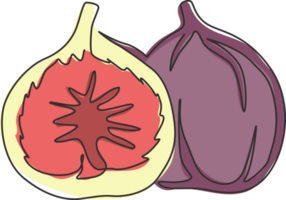 un unico disegno a tratteggio di fico biologico sano intero e affettato per l'identità del logo del frutteto. concetto di frutta tropicale fresca per l'icona del giardino di frutta. illustrazione vettoriale di disegno di disegno di linea continua moderna png