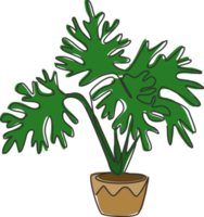 um desenho de linha contínua de planta de folha tropical em vaso. conceito de planta de casa de selloum de filodendro decorativo para impressão para decoração de parede de casa. ilustração gráfica de vetor moderno desenho de linha única png