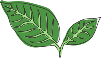 enda kontinuerlig linjeteckning av tropiska teblad växt. utskrivbar affisch dekorativt krukväxtkoncept för hemväggsdekoration. modern en rad grafisk rita design vektorillustration png