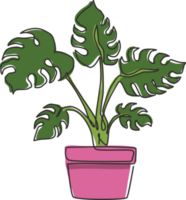 una planta de monstera de hoja tropical en maceta de belleza de dibujo de línea continua. Concepto de planta de interior decorativa imprimible para adorno de decoración de pared del hogar. Ilustración de vector gráfico de diseño de dibujo de una sola línea moderna png