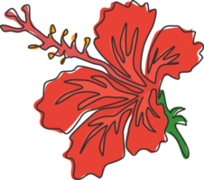 um desenho de linha contínua de hibisco fresco de beleza para o logotipo do jardim do parque. cartaz para impressão conceito de flor de malva rosa para decoração de parede em casa. ilustração gráfica de vetor moderno desenho de linha única png