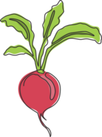One single line drawing of whole healthy organic red radish for farm logo identity. Fresh crop concept for edible root vegetable icon. Modern continuous line draw design vector graphic illustration png