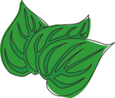 un disegno a tratteggio di una foglia di betel organica sana per l'identità del logo dell'azienda agricola. concetto di utilità del deodorante per la bocca per l'icona della pianta. illustrazione grafica vettoriale di disegno di disegno di linea continua moderna png