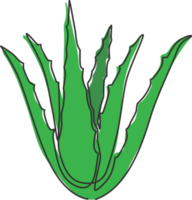 Single continuous line drawing of healthy organic green aloe vera for farm logo identity. Fresh tropical succulent plant concept for agricultural icon. Modern one line draw design vector illustration png