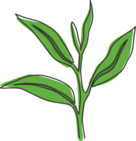 um desenho de linha contínua de folha de chá orgânica saudável inteira para identidade do logotipo de bebida à base de ervas. conceito de natureza fresca para o ícone da plantação de chá. ilustração gráfica de vetor moderno desenho de linha única png