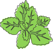 un dibujo de una sola línea de hojas de menta orgánica saludables para la identidad del logotipo de la granja. concepto de planta de lamiaceae fresca para icono de plantación. Ilustración de vector de diseño de dibujo gráfico de línea continua moderna png