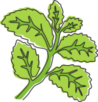 un dibujo de línea continua de hojas de menta orgánica saludables para la identidad del logotipo de la granja. concepto de planta de mentha fresca para icono de plantación. Ilustración gráfica de vector de diseño de dibujo de una sola línea moderna png