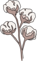 en genomgående linjeritning av hel mjuk och fluffig bomullsblomma för jordbrukslogotyp. stapelfiber blomma koncept för trädgård ikon. modern en rad rita grafisk design vektorillustration png