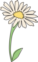 dessin au trait continu unique de beauté fraîche bellis perennis pour l'art de l'affiche de la décoration murale de la maison. concept de fleur de marguerite commune décorative imprimable. Une ligne moderne dessiner illustration vectorielle de conception graphique png