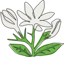 un dessin au trait unique de la beauté fraîche de la fleur de jasmin à feuilles persistantes pour le logo du jardin. affiche décorative imprimable jasminum pour la décoration murale de la maison. ligne continue moderne dessiner illustration vectorielle de conception png