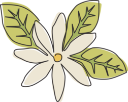 um único desenho de linha de flor de jasmim de folha caduca fresca de beleza para logotipo de bebida de chá. jasminum decorativo para impressão para pôster de decoração de parede em casa. ilustração em vetor desenho moderno linha contínua png