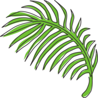 één enkele lijntekening van tropische kokosnootbladplant. afdrukbare poster decoratieve kamerplant concept voor thuis muur decor ornament. moderne ononderbroken lijn grafisch tekenen ontwerp vectorillustratie png