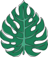 único desenho de linha contínua planta exótica de monstera de folha tropical. conceito de planta de casa decorativa para impressão para ornamento de cartaz de decoração de parede em casa. ilustração gráfica de vetor moderno desenho de uma linha png