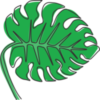 en enda rad ritning söt skönhet tropiska blad monstera växt. utskrivbart dekorativt krukväxtkoncept för hemväggsdekoration. modern kontinuerlig linje grafisk rita design vektorillustration png