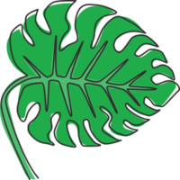 un dibujo de una sola línea linda belleza planta monstera hoja tropical. Concepto de planta de interior decorativa imprimible para adorno de decoración de pared del hogar. Ilustración de vector de diseño de dibujo gráfico de línea continua moderna png