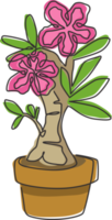 Eine einzige Strichzeichnung von frischem, eingemachtem Adenium für das Gartenlogo. Druckbares Plakat dekoratives Wüstenrosenblumenkonzept für Wandwohnkultur. durchgehende Linie zeichnen Design-Vektor-Illustration png