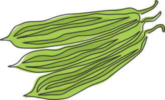 One continuous line drawing of whole healthy organic sponge gourd for farm logo identity. Fresh Egyptian cucumber concept for vegetable icon. Modern single line draw design vector graphic illustration png