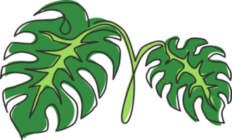 un dibujo de línea continua linda planta exótica de hojas tropicales monstera. Concepto de planta de interior decorativa imprimible para adorno de decoración de pared del hogar. Ilustración gráfica de vector de diseño de dibujo de una sola línea moderna png