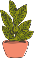 Eine einzige Strichzeichnung einer süßen tropischen Aglaonema-Pflanze. Druckbares dekoratives Zimmerpflanzenkonzept für die Dekoration von Wohnwänden. moderne durchgehende Linie Grafik zeichnen Design-Vektor-Illustration png