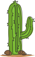 un dibujo de línea continua linda planta de cactus con pinchos tropicales exóticos. Concepto de planta de interior decorativa imprimible para adorno de decoración de pared del hogar. Ilustración de vector gráfico de diseño de dibujo de una sola línea moderna png