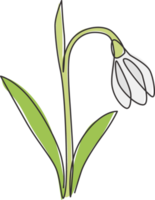 One continuous line drawing of beauty fresh galanthus for home wall decor art poster print. Printable decorative snowdrop flower concept for wedding card. Single line draw design vector illustration png