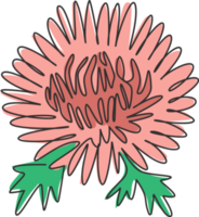 un disegno a linea continua di crisantemo fresco di bellezza per il logo del giardino. concetto di fiore di crisante decorativo stampabile per carta di invito a nozze. illustrazione vettoriale di design moderno a linea singola png