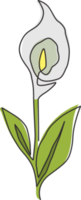 dibujo de una sola línea belleza zantedeschia fresca para el logotipo del jardín. Flor decorativa imprimible del lirio del arum para la impresión del arte de la pared de la decoración casera. Ilustración gráfica de vector de diseño de dibujo de línea continua de moda png