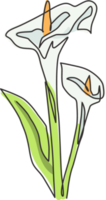 un dessin au trait continu beauté fraîche zantedeschia pour impression de décoration murale. fleur de lys arum décorative imprimable pour carte d'invitation de mariage. illustration vectorielle de conception de dessin à une seule ligne moderne png