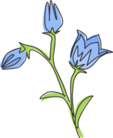 única linha contínua desenho beleza planta perenial fresca para home art decoração de parede impressão de pôster. flor bluebell decorativa para impressão para enfeite de cartão. ilustração em vetor moderno desenho de uma linha png