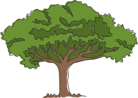 disegno a una linea di un albero di marula esotico e di bellezza. sclerocarya birrea decorativa per cartoline di auguri. turismo mondiale e concetto di viaggio. illustrazione vettoriale di disegno di disegno di linea continua moderna png