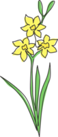 un dessin au trait continu beauté narcisse frais du logo du jardin. concept de fleur de jonquille décorative imprimable pour la décoration murale impression d'affiche d'art à la maison. illustration vectorielle de conception de dessin à une seule ligne moderne png