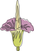 eine durchgehende Linie, die Schönheit frischer Amorphophallus Titanum für Hauptwanddekor-Kunstplakatdruck zeichnet. dekorative Titan-Arum-Blume für den Nationalpark. moderne Single-Line-Draw-Design-Vektor-Illustration png