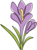 único desenho de linha contínua de beleza fresco croci para impressão de pôster de decoração de parede em casa. conceito de flor de açafrão decorativo para impressão para enfeite de cartão. ilustração em vetor moderno desenho de uma linha png