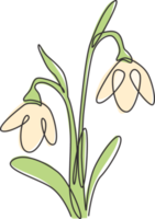 One single line drawing of beauty fresh galanthus for home decor wall art poster print. Decorative snowdrop flower for greeting card ornament. Modern continuous line draw design vector illustration png