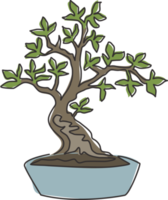 een doorlopende lijntekening schoonheid en exotische bonsai boom voor thuis muur decor art poster print. decoratieve oude ingemaakte bonsai plant voor plantenwinkel logo. enkele lijn tekenen ontwerp vectorillustratie png