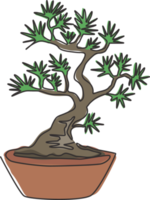 beleza de desenho de linha única e árvore de bonsai em miniatura exótica para impressão de pôster de decoração de parede em casa. planta em vaso velha decorativa para o logotipo da loja. ilustração em vetor desenho moderno linha contínua png