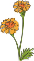 einzelne durchgehende Strichzeichnung von Schönheit frischer Tagetes erecta für Wohnkultur-Wandkunst-Plakatdruck. dekorative Ringelblume für Blumenkartenrahmen. moderne eine linie zeichnen design-vektorillustration png