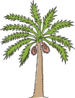 Single one line drawing of beauty and exotic date palm tree. Decorative phoenix dactylifera tree concept for plantation company. Modern continuous line draw design graphic vector illustration png