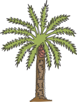 dibujo de una sola línea continua de la belleza y el gran árbol phoenix dactylifera. concepto decorativo de la planta de la palmera datilera para la impresión del cartel del arte de la pared de la decoración casera. Ilustración de vector de diseño de dibujo de una línea moderna png