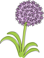 Dibujo de línea continua única Beauty Fresh Allium giganteum para decoración del hogar Impresión de póster de arte de pared. Flor decorativa de Globemaster para marco de tarjeta floral. Ilustración de vector de diseño de dibujo de una línea moderna png