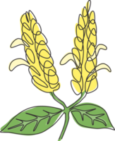 dessin d'une seule ligne beauté fraîche pachystachys lutea pour logo de jardin. fleur décorative de plante de sucette pour l'art d'impression d'affiche murale de décoration d'intérieur. ligne continue moderne dessiner illustration vectorielle de conception png