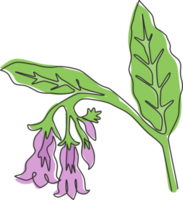 dessin au trait continu unique du symphytum frais de beauté pour le logo du jardin. concept de fleur de consoude décorative pour cadre de carte d'invitation florale. Une ligne moderne dessiner illustration graphique vectorielle de conception png