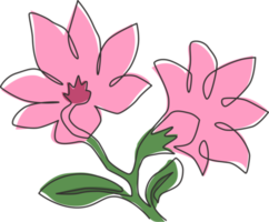 dessin d'une seule ligne de la beauté des magnoliacées fraîches pour le logo du jardin. concept de fleur de magnolia décoratif pour l'impression d'affiches d'art de décoration murale à la maison. ligne continue moderne dessiner illustration vectorielle de conception png