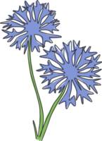 dessin d'une seule ligne de beauté fraîche centaurea cyanus pour le logo de jardin. concept de bleuet décoratif pour l'impression d'affiches d'art mural de décoration intérieure. ligne continue moderne dessiner illustration vectorielle de conception png