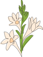 enda en rad ritning av skönhet färsk agave amica för trädgård logotyp. dekorativa tuberos blomma koncept för hem konst vägg dekor affischtryck. modern kontinuerlig linje rita design vektorillustration png