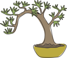 disegno a linea continua di vecchia bellezza e piccolo albero bonsai esotico per la stampa di poster da parete per la decorazione della casa. pianta curva decorativa per il logo del negozio di piante. illustrazione vettoriale di design moderno a una linea di disegno png